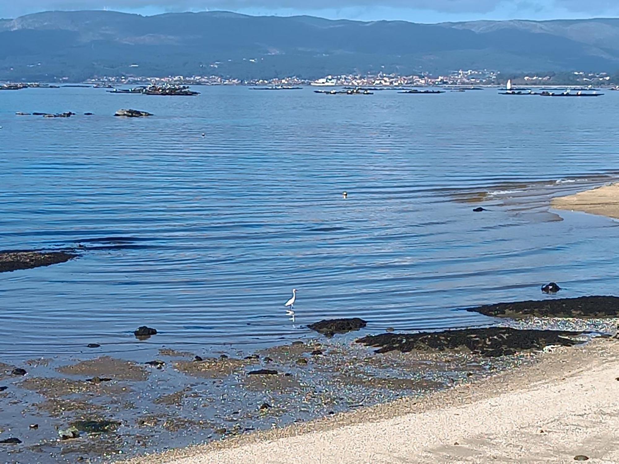 Apartamento Mirador Mar De Castelao, 1ª Linea De Playa Urbana Vilanova de Arousa Exterior foto